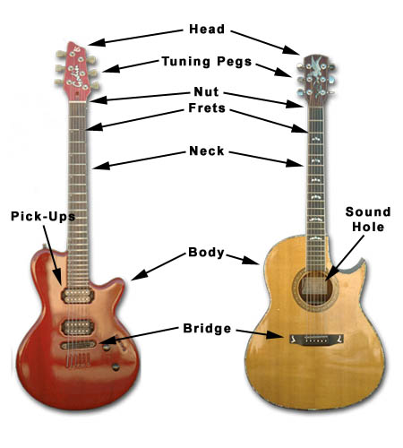 the parts of the guitar